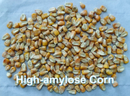 Fibra dietética soluble del almidón de Prebiotic del maíz de los altos de la amilosis de maíz JAMONES resistentes del almidón